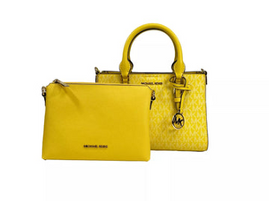 Ladies Satchel Bags