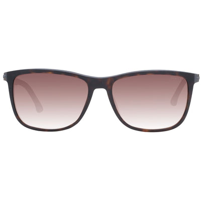Brown Men Sunglass