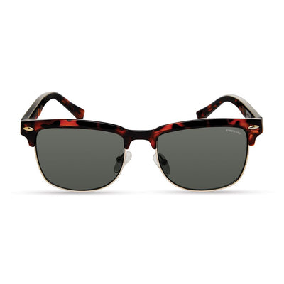 Brown Acetate Sunglasses